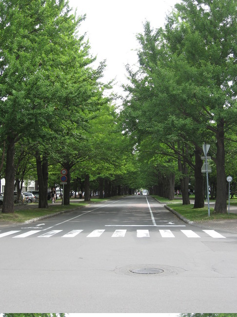 hokkaido019.jpg