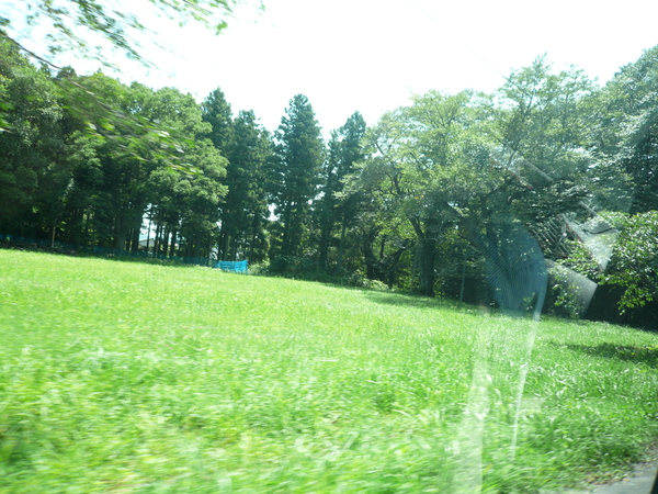 82000.jpg