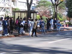 17000.jpg