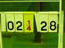 1108006.jpg