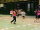 1108010.jpg